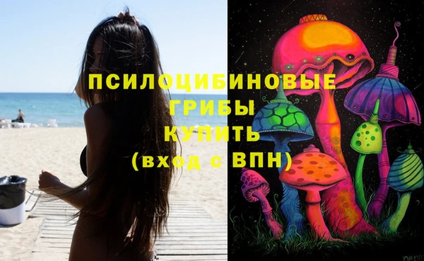 марки lsd Бугульма